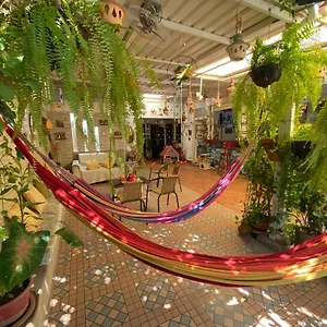 Casa Linda , Santa Marta (Magdalena) Colombia